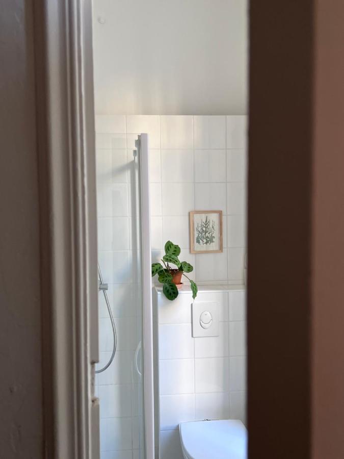 L'Appartement Du Cafe De L'Horloge 라시오타 외부 사진
